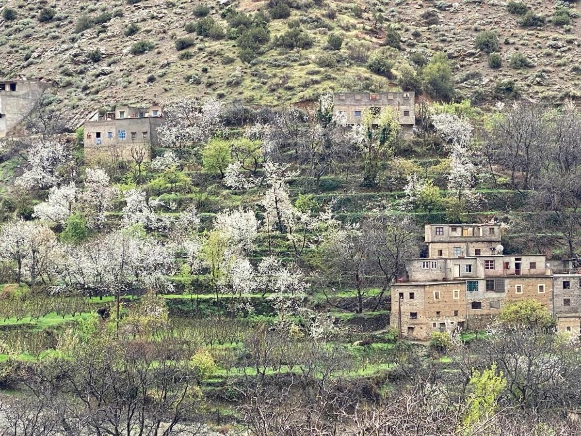 Amlougui House Bed and Breakfast Asgaour Εξωτερικό φωτογραφία